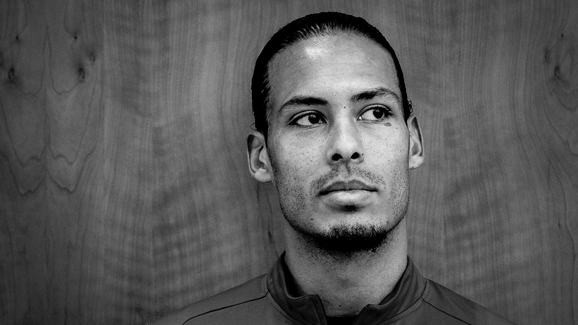 来提供指导 来提供指导