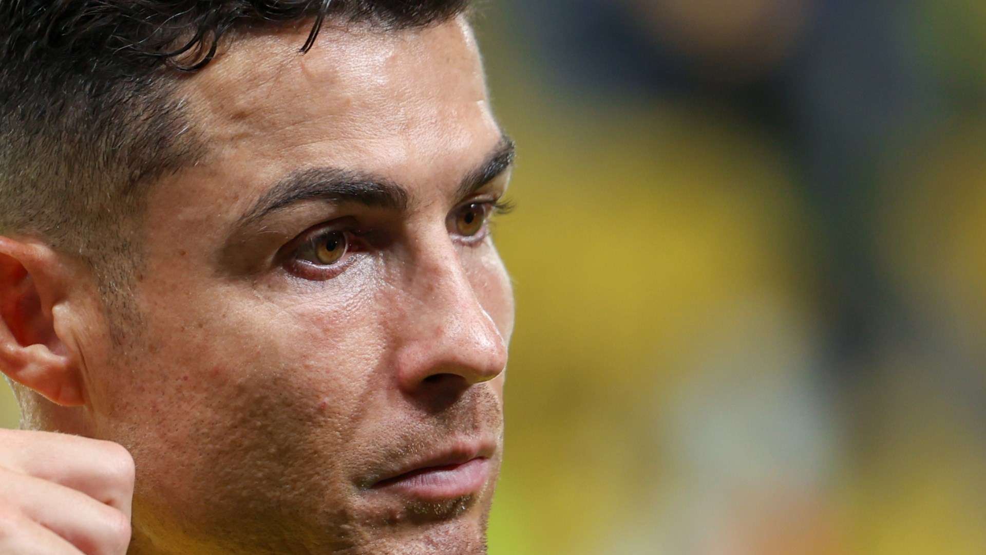 注和期待 注和期待