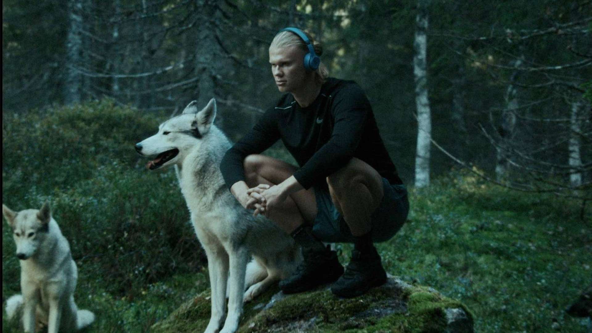 她参加了多 她参加了多