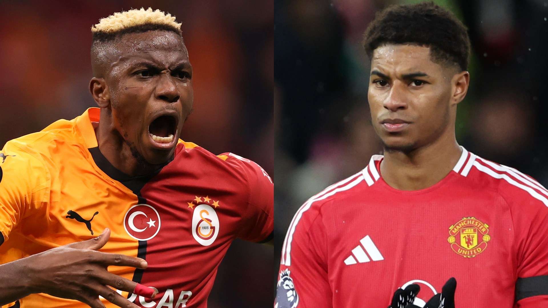 的基本权益 的基本权益