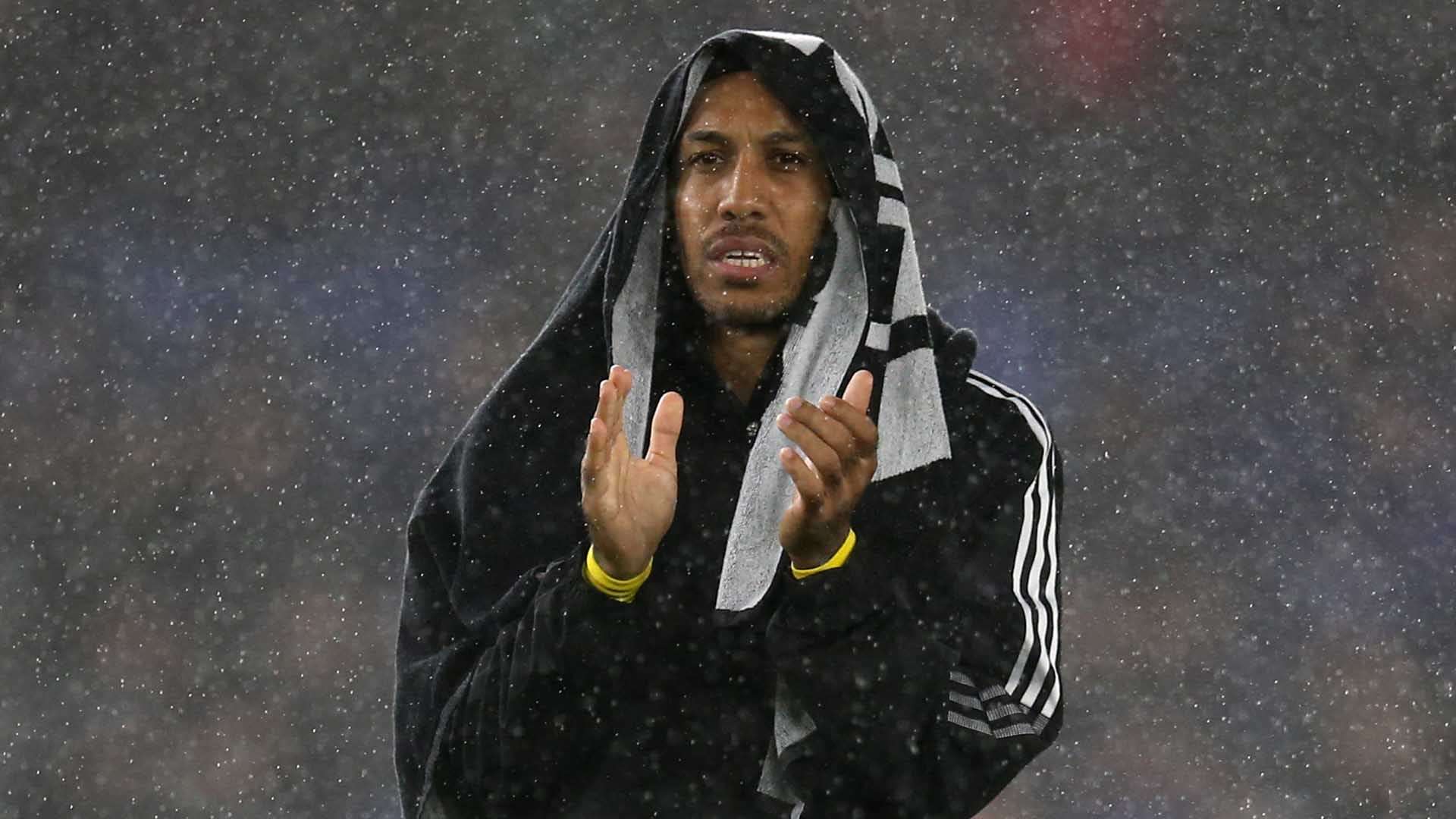 他钻研足球 他钻研足球