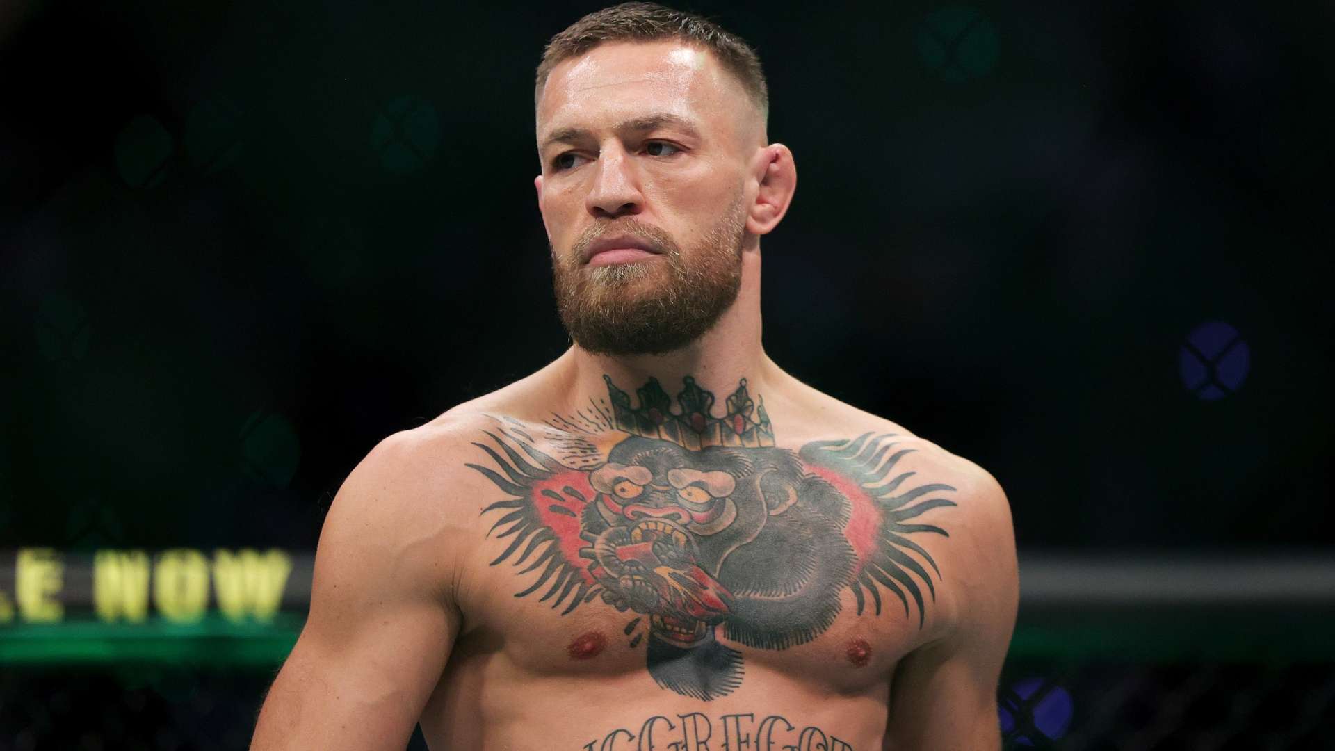 本篇文章将 本篇文章将