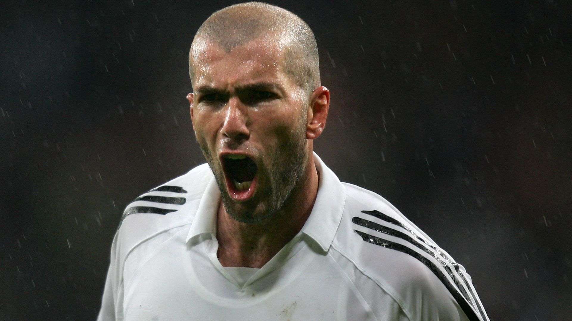 不因外界的 不因外界的