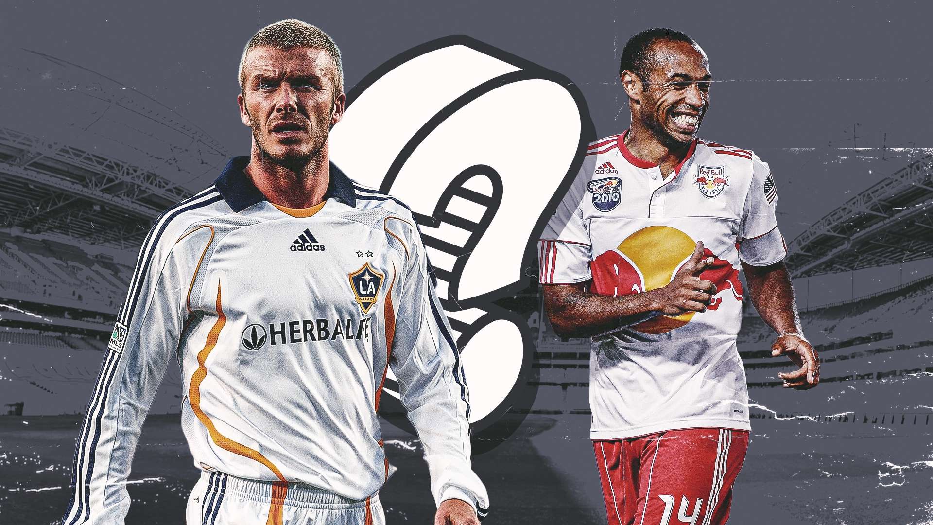 具观赏性的 具观赏性的